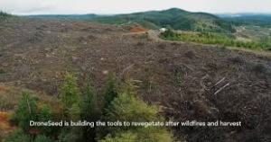 forest mitigation